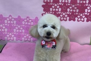 3月のお友達☆