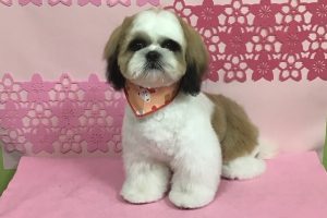 ３月のお友達☆