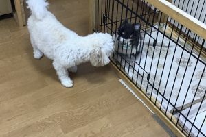 お泊まり中☆