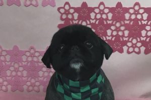 3月のお友達☆