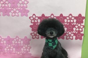 ３月のお友達☆