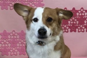 3月のお友達☆