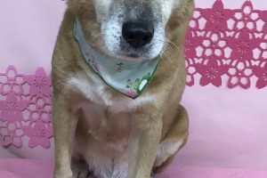 ３月のお友達☆