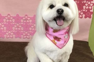 3月のお友達☆