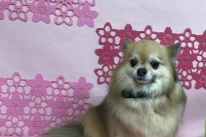 ３月のお友達☆