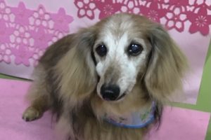 3月のお友達☆