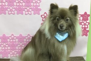 3月のお友達☆