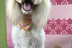 3月のお友達☆