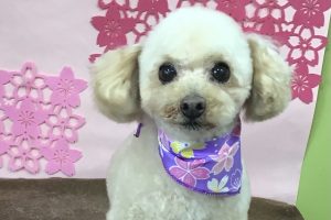3月のお友達☆