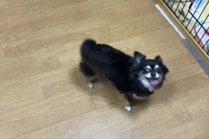 お泊まり中☆