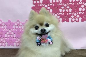 3月のお友達☆