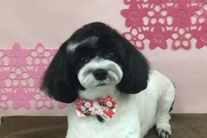 3月のお友達☆
