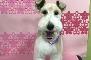 3月のお友達☆