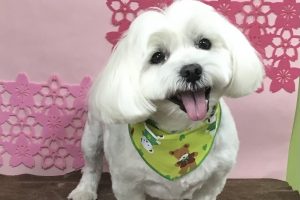 3月のお友達☆