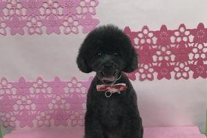 3月のお友達☆