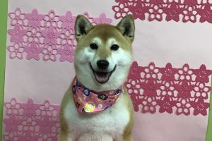 3月のお友達☆