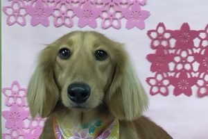 3月のお友達☆