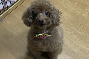 お泊り☆