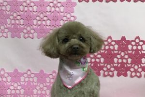 ３月のお友達☆