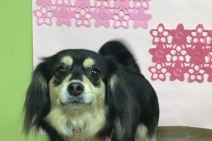 3月のお友達☆
