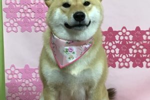 3月のお友達☆