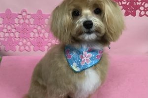 3月のお友達☆