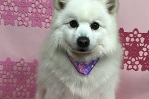3月のお友達☆