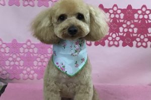 3月のお友達☆