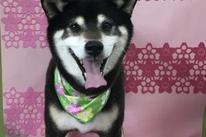 3月のお友達☆