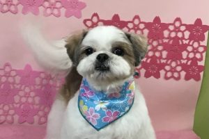 ３月のお友達☆