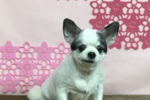 3月のお友達☆
