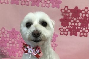 3月のお友達☆