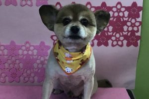 3月のお友達☆