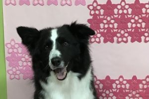 3月のお友達☆