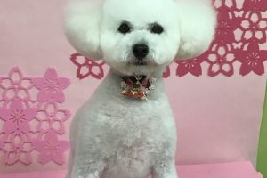 3月のお友達☆