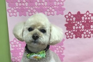 3月のお友達☆