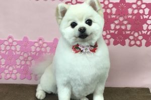 3月のお友達☆