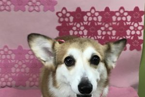 3月のお友達☆