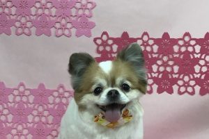 3月のお友達☆