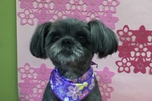 3月のお友達☆