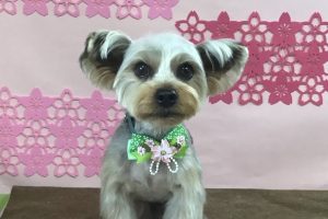 3月のお友達☆