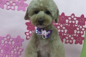 3月のお友達☆