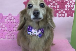 3月のお友達☆