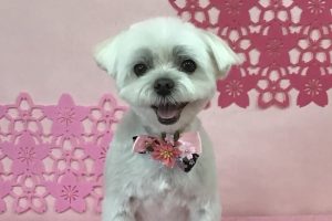 3月のお友達☆