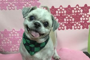 ３月のお友達☆