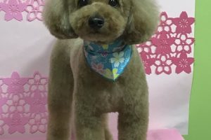 3月のお友達☆