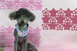 ３月のお友達☆