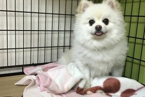 お泊まり中☆