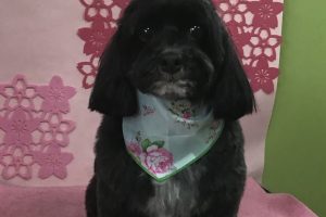 ３月のお友達☆