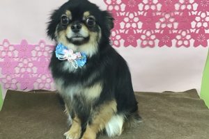3月のお友達☆